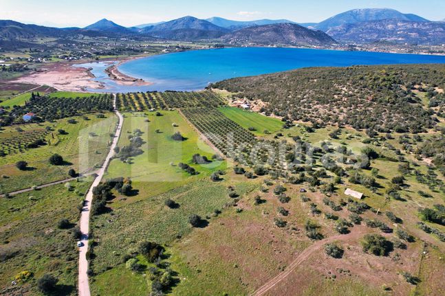 Αγροτεμάχια 6.150 τ.μ. για πώληση, Αργολίδα, Ερμιόνη