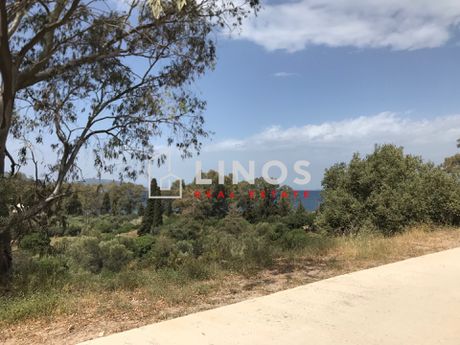 Οικόπεδο 1.000 τ.μ. για πώληση