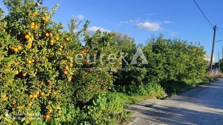 Land plot 2.300sqm for sale-Vocha