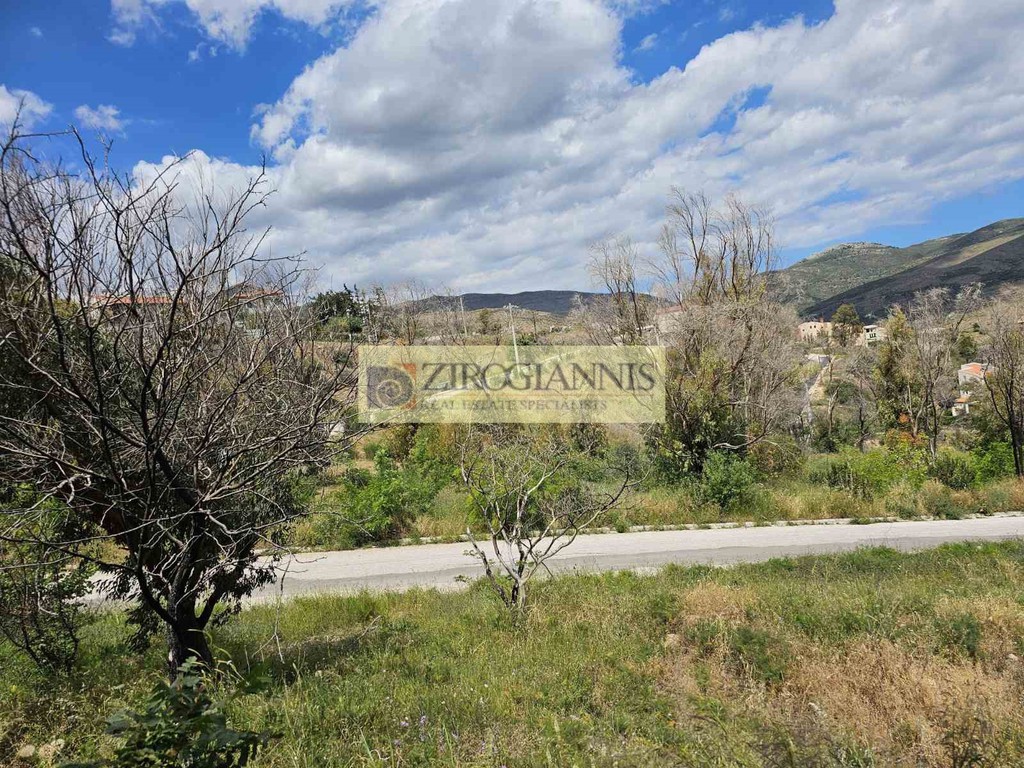 Οικόπεδο 800 τ.μ. προς πώληση, Πικέρμι