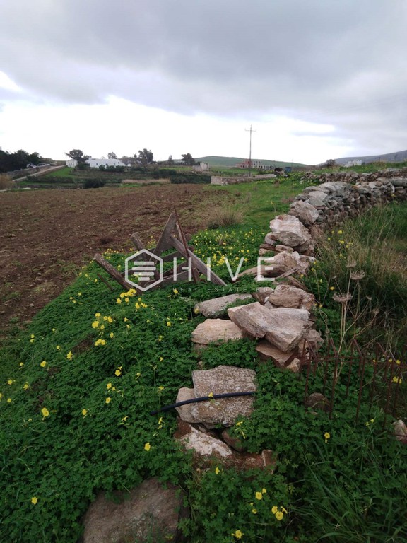 Αγροτεμάχια 8.452 τ.μ. προς πώληση, Μάρπησσα