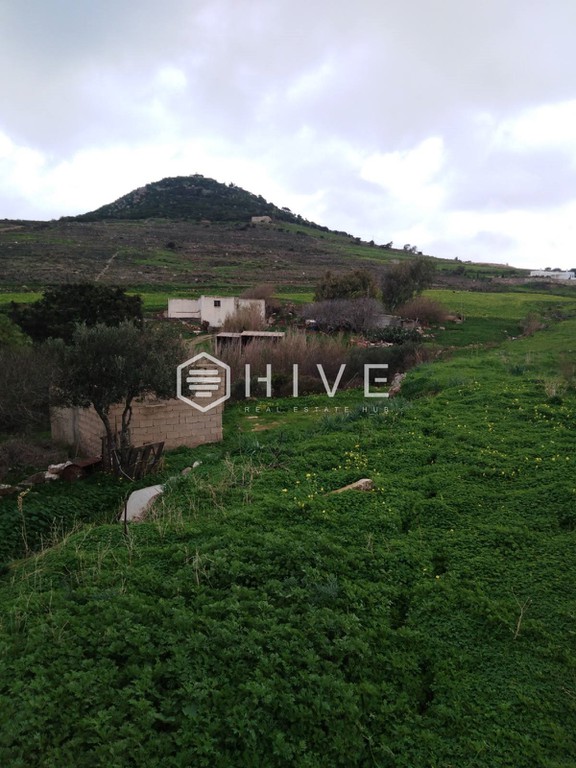 Αγροτεμάχια 6.513 τ.μ. προς πώληση, Μάρπησσα