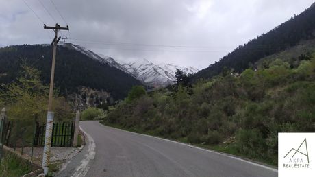 Land plot 4.800sqm for sale-Karpenisi