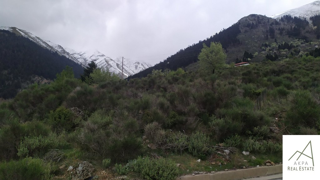 Οικόπεδο 5.033,26 τ.μ. προς πώληση, Καρπενήσι