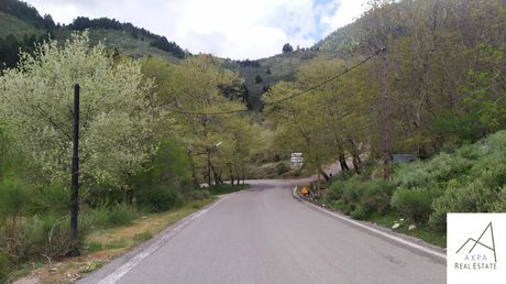 Land plot 5.033,26sqm for sale-Karpenisi