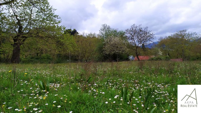 Αγροτεμάχια 1.059 τ.μ. για πώληση, Ευρυτανία, Καρπενήσι