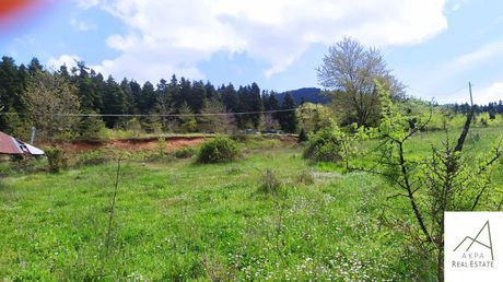 Parcel 829,65sqm for sale-Karpenisi