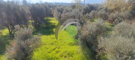 Μονοκατοικία 90 τ.μ. για πώληση