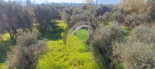 Μονοκατοικία 90 τ.μ. για πώληση