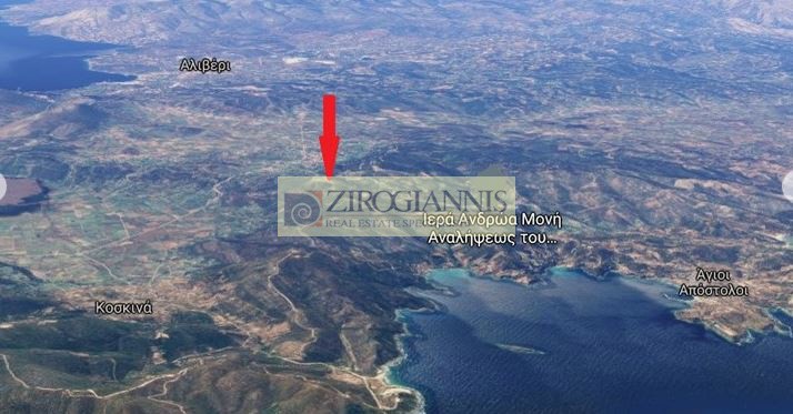 Αγροτεμάχια 25.000 τ.μ. προς πώληση, Κύμη Εύβοιας