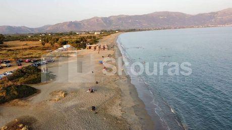 Αγροτεμάχια 26.000 τ.μ. για πώληση