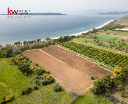 Οικόπεδο 14.080 τ.μ. για πώληση