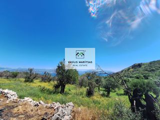 Οικόπεδο 3.091 τ.μ. για πώληση