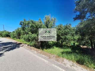 Οικόπεδο 3.091 τ.μ. για πώληση, Ν. Κέρκυρας, Κέρκυρα-thumb-11