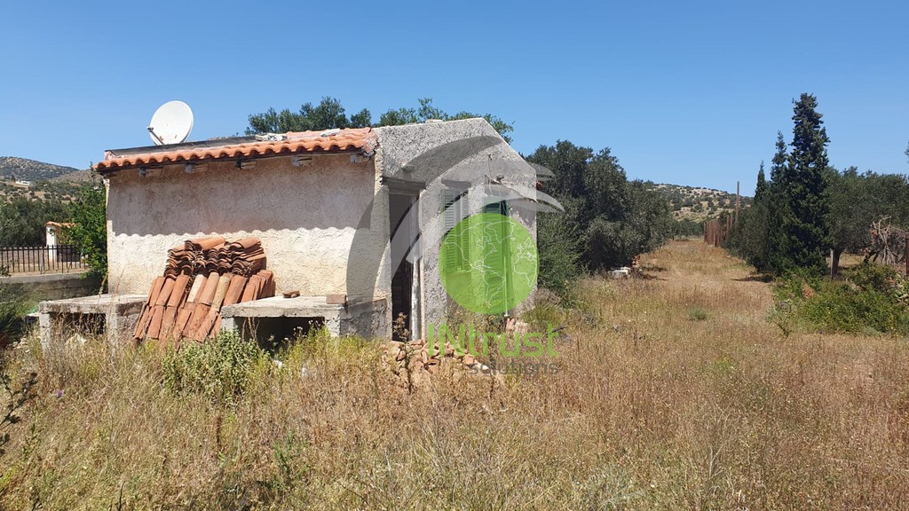 Αγροτεμάχια 3.184,98 τ.μ. προς πώληση, Θορικό