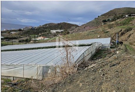 Οικόπεδο 43.000τ.μ. για πώληση-Μοίρες