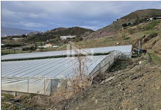 Οικόπεδο 43.000 τ.μ. για πώληση