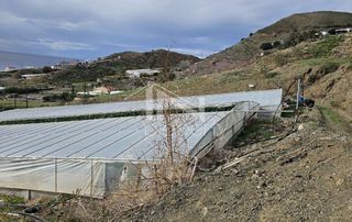 Οικόπεδο 43.000 τ.μ. για πώληση, Ν. Ηρακλείου, Μοίρες-thumb-2