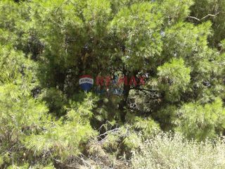 Οικόπεδο 500 τ.μ. για πώληση, Αττική - Υπόλοιπο, Πικέρμι-thumb-1