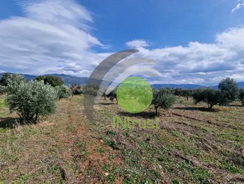 Αγροτεμάχια 15.000 τ.μ. προς πώληση, Κέντρο Φαρών