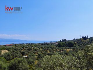 Μονοκατοικία 282 τ.μ. προς πώληση, Αιγιάλεια-thumb-23