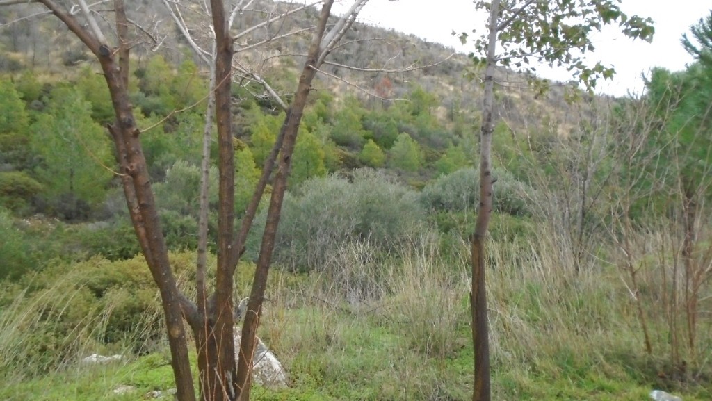 Μονοκατοικία 200 τ.μ. προς πώληση, Καλλιτεχνούπολη