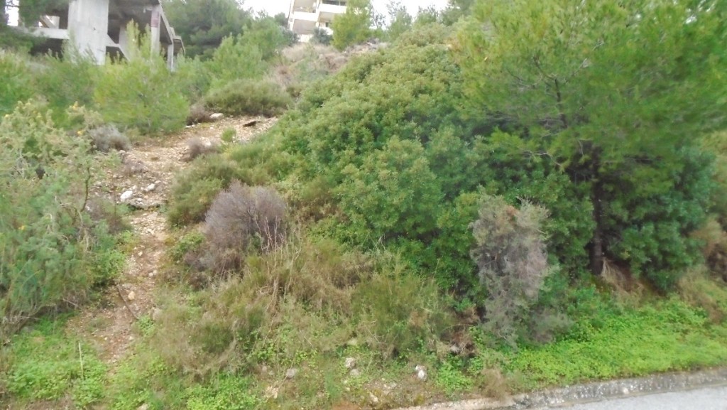 Μονοκατοικία 200 τ.μ. προς πώληση, Καλλιτεχνούπολη