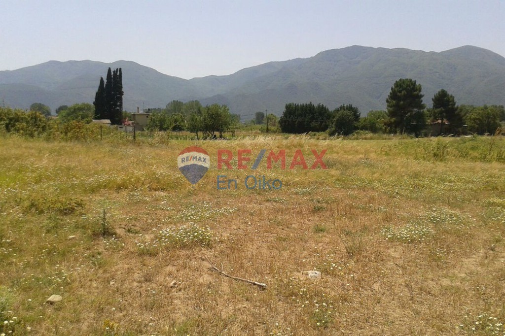 Αγροτεμάχια 4.011 τ.μ. προς πώληση, Σπάτα