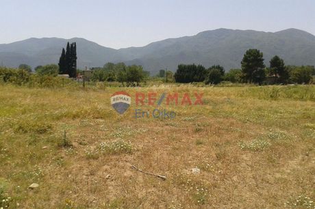 Αγροτεμάχια 4.011τ.μ. για πώληση-Σπάτα