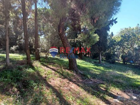 Οικόπεδο 4.900τ.μ. για πώληση-Παιανία