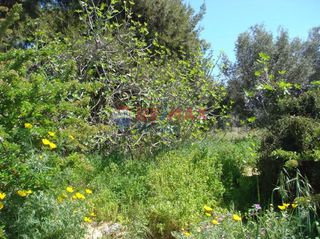 Land plot 366 sqm for sale