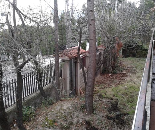 Οικόπεδο 832 τ.μ. για πώληση, Αθήνα - Βόρεια Προάστια, Διόνυσος