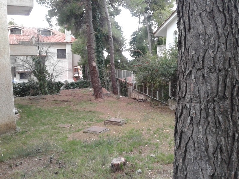 Μονοκατοικία 250 τ.μ. προς πώληση, Διόνυσος