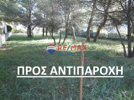 Land plot 1.024sqm for sale-Koropi