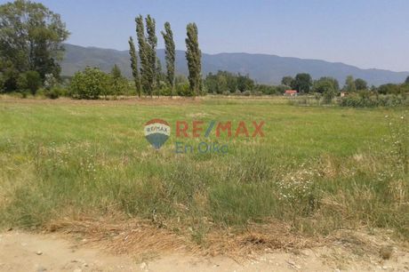 Οικόπεδο 1.116τ.μ. για πώληση-Παλαιά φώκαια