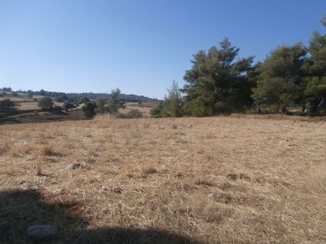 Αγροτεμάχια 5.500τ.μ. για πώληση-Βαρνάβας