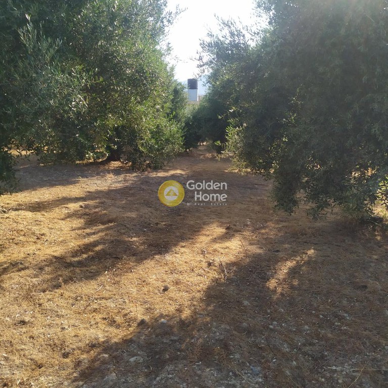 Οικόπεδο 735 τ.μ. πρός πώληση, Κορινθία, Άγιοι Θεόδωροι