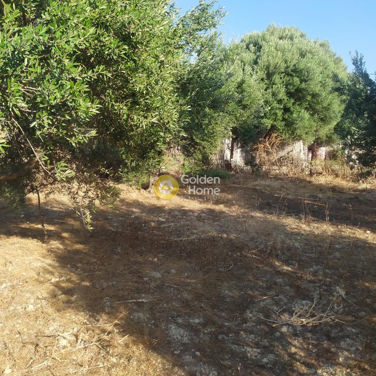 Οικόπεδο 735 τ.μ. πρός πώληση, Κορινθία, Άγιοι Θεόδωροι