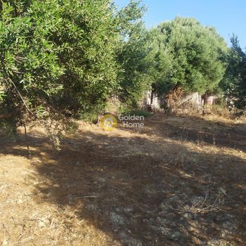 Οικόπεδο 735τ.μ. για πώληση-Άγιοι θεόδωροι » Κέντρο