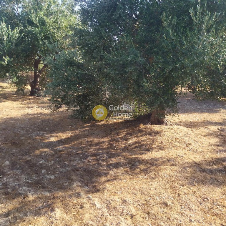 Οικόπεδο 735 τ.μ. πρός πώληση, Κορινθία, Άγιοι Θεόδωροι