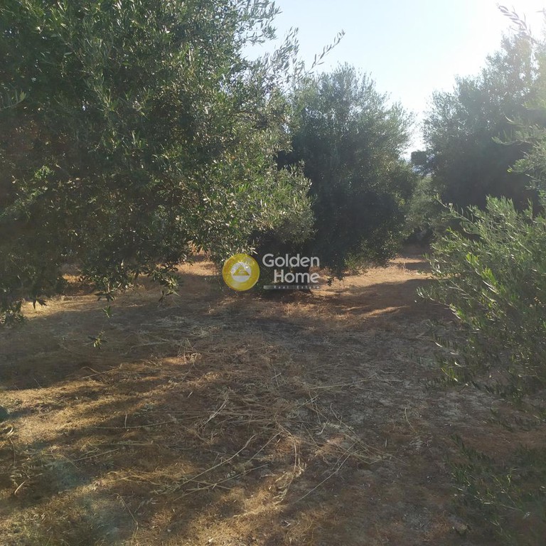 Οικόπεδο 735 τ.μ. πρός πώληση, Κορινθία, Άγιοι Θεόδωροι