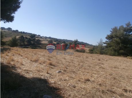 Αγροτεμάχια 833τ.μ. για πώληση-Κάλαμος