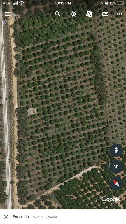 Αγροτεμάχια 14.000 τ.μ. προς πώληση, Εξαμίλια