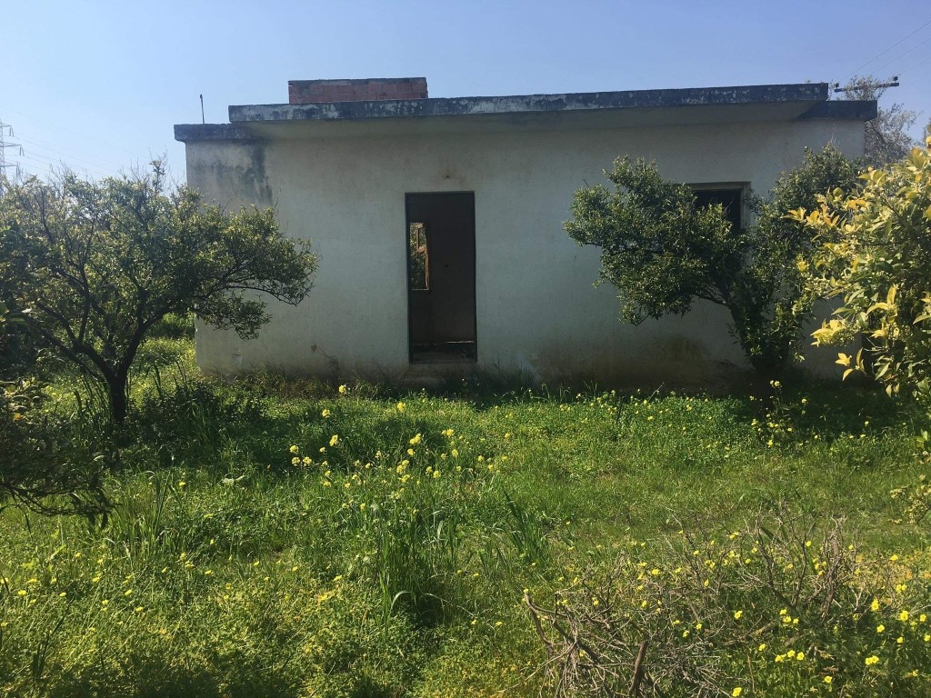 Αγροτεμάχια 14.000 τ.μ. προς πώληση, Εξαμίλια