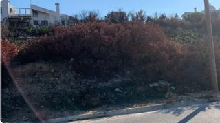 Οικόπεδο 1.000 τ.μ. για πώληση