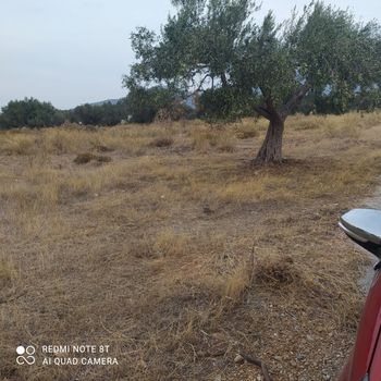 Οικόπεδο 954τ.μ. για πώληση-Καλύβια θορικού