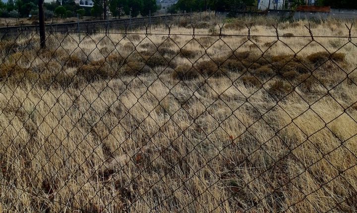 Οικόπεδο 655 τ.μ. για πώληση, Αττική - Υπόλοιπο, Άνω Λιόσια