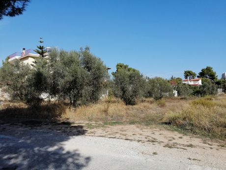 Οικόπεδο 1.080τ.μ. για πώληση-Αρτέμιδα (λούτσα)
