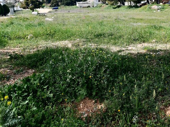Οικόπεδο 825 τ.μ. για πώληση, Αθήνα - Δυτικά Προάστια, Αχαρνές