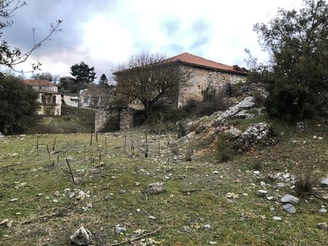 Οικόπεδο 2.460τ.μ. για πώληση-Βιτίνα